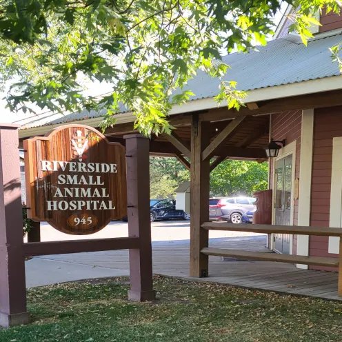 Sign and Exterior of Riverside Small Animal Hospital